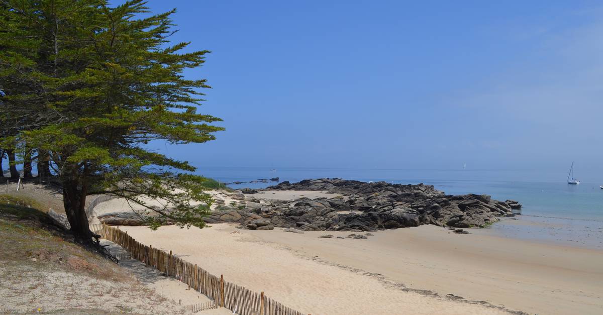 ile d yeu